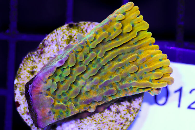 import placeholder for 3057354