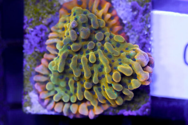 import placeholder for 3057351