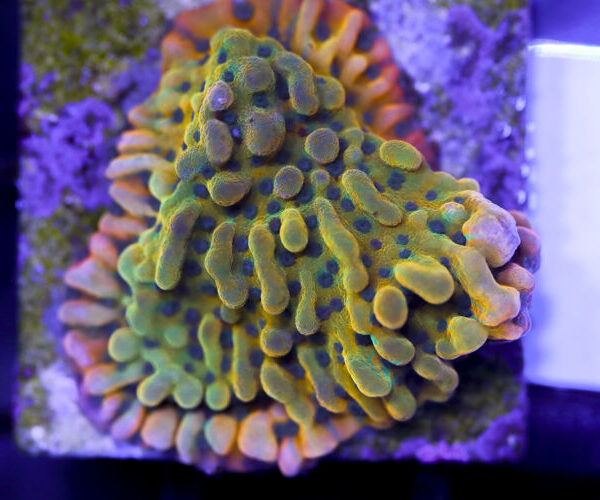 import placeholder for 3057351