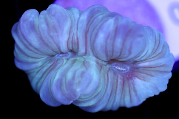 import placeholder for 3057329