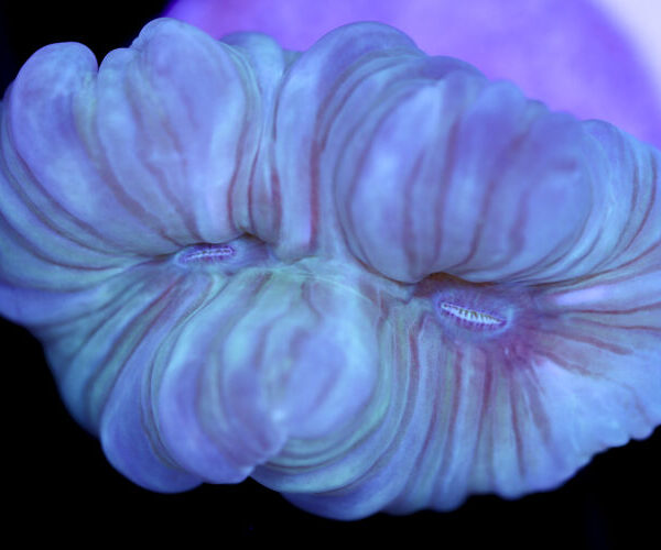 import placeholder for 3057329