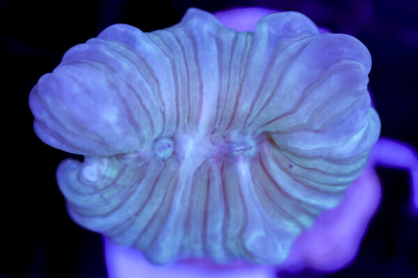 import placeholder for 3057326