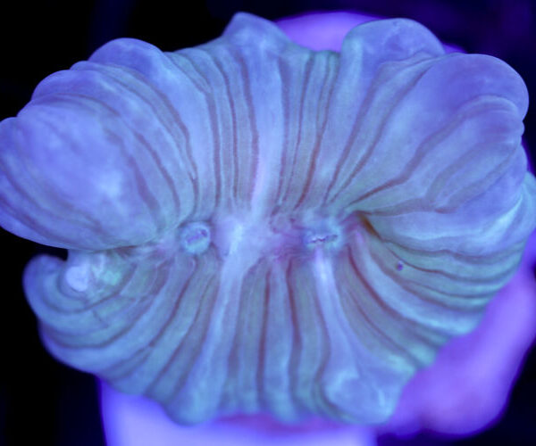 import placeholder for 3057326