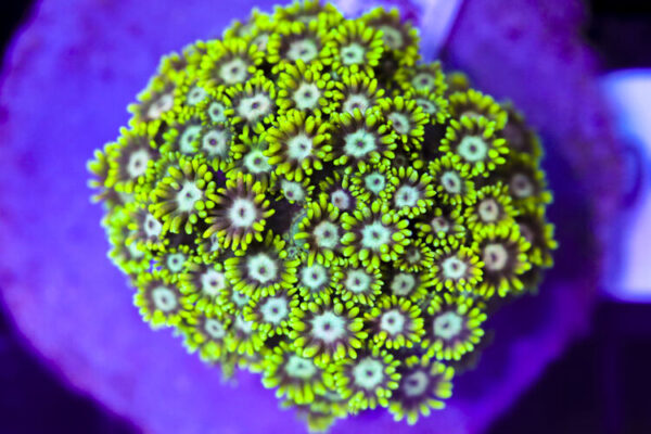 import placeholder for 3056390