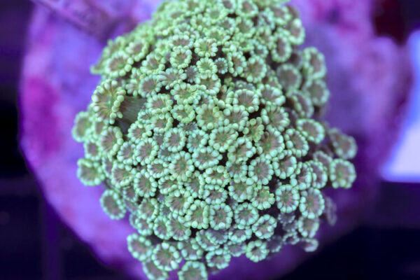 import placeholder for 3056389