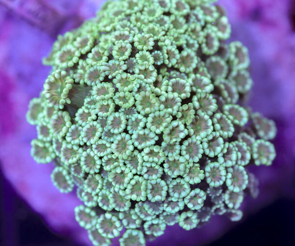 import placeholder for 3056389