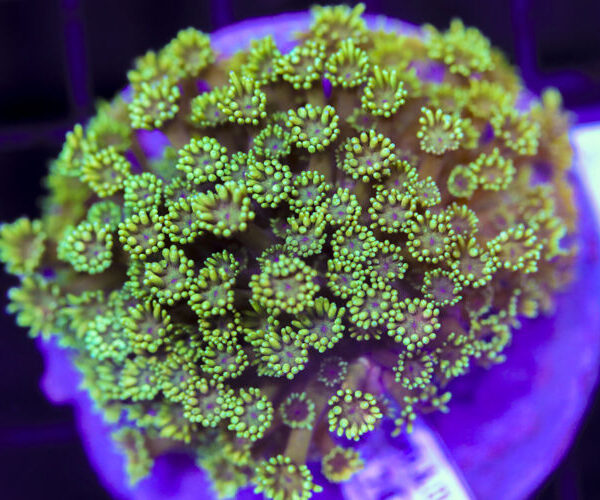 import placeholder for 3056388