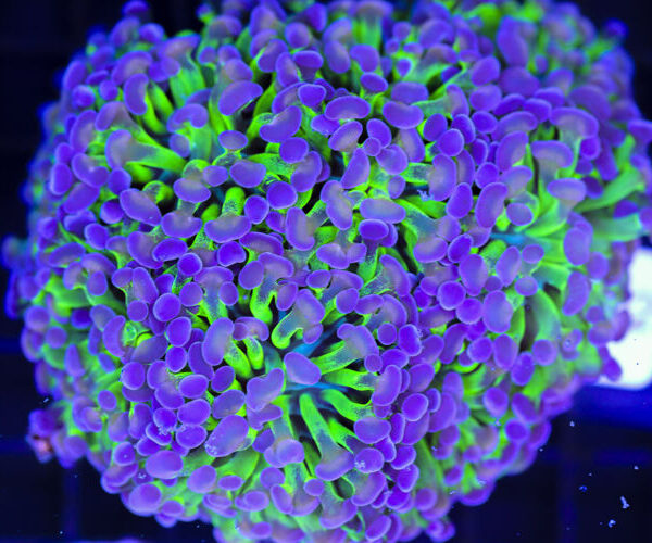 import placeholder for 3056383