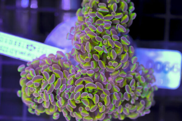 import placeholder for 3056380