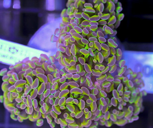 import placeholder for 3056380