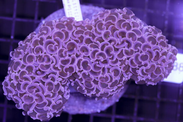 import placeholder for 3056373