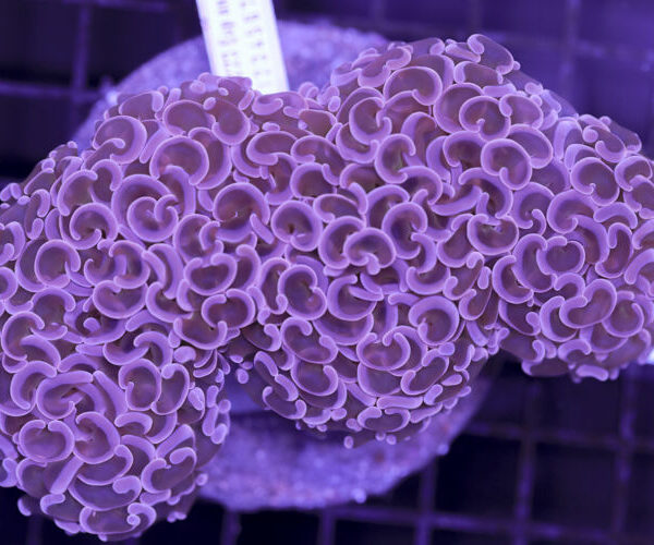 import placeholder for 3056373