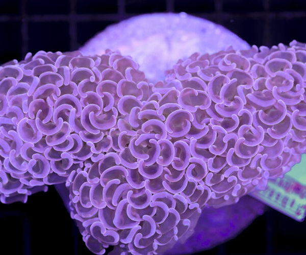 import placeholder for 3056372