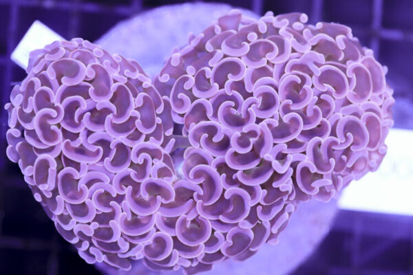 import placeholder for 3056371