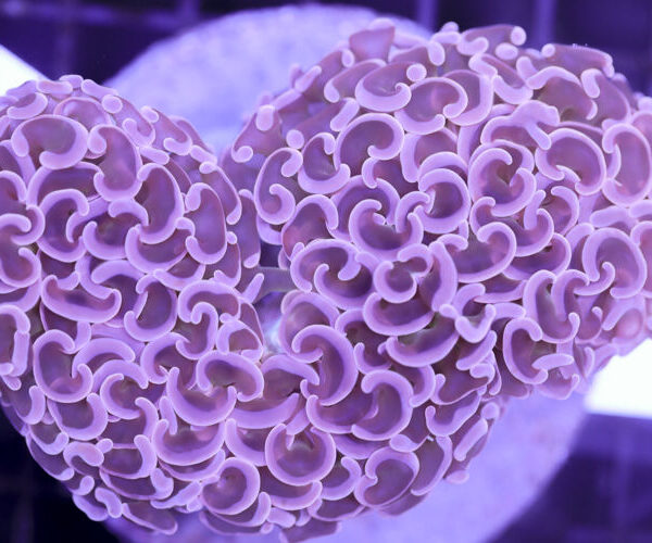 import placeholder for 3056371