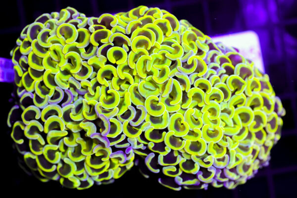 import placeholder for 3056366