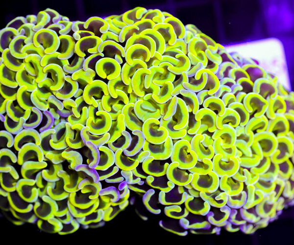 import placeholder for 3056366