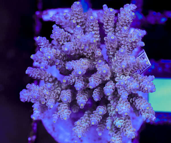 import placeholder for 3056356