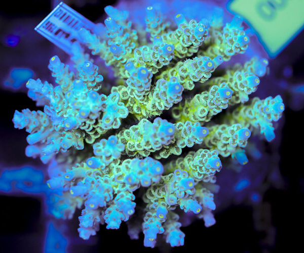 import placeholder for 3056352