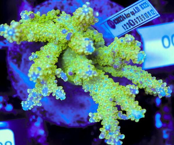 import placeholder for 3056349