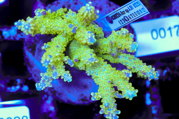 import placeholder for 3056349