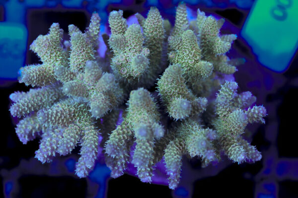 import placeholder for 3056340