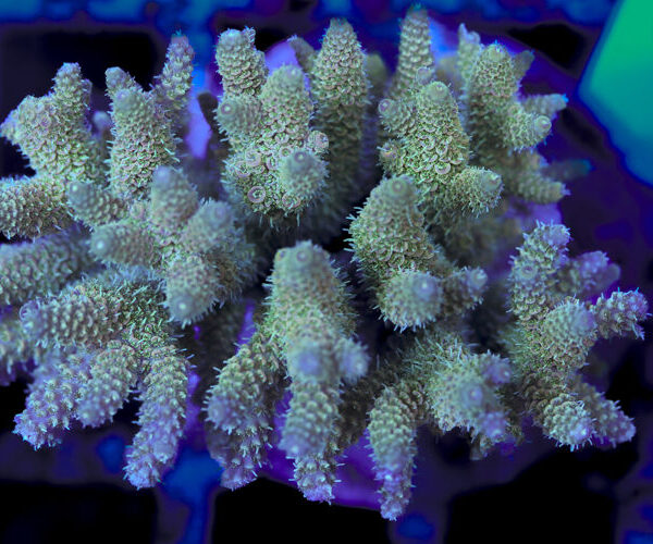 import placeholder for 3056340