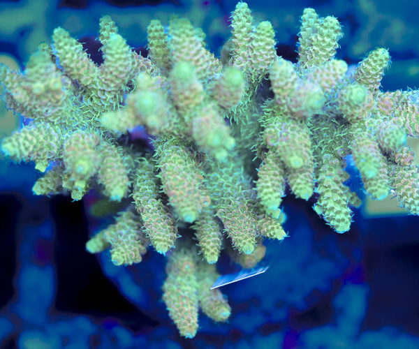 import placeholder for 3056332