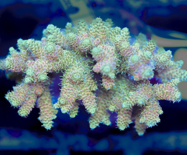 import placeholder for 3056331