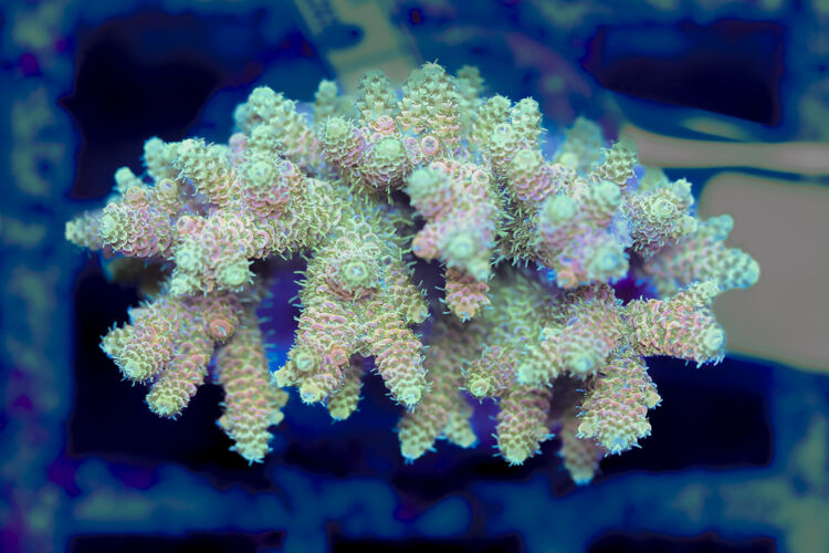 import placeholder for 3056331