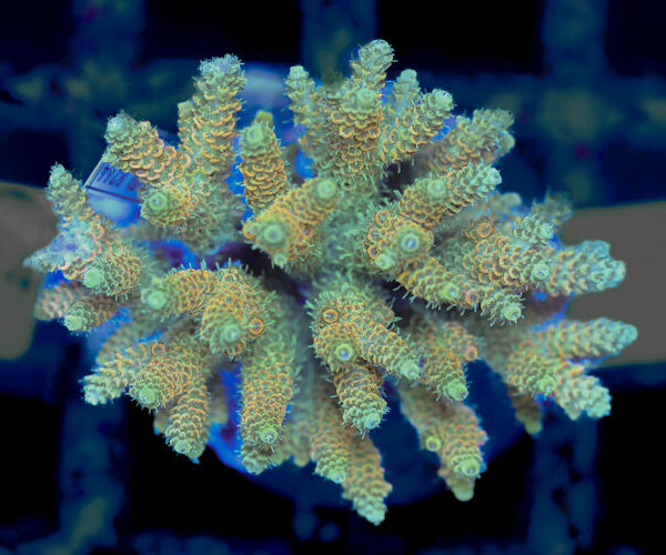 import placeholder for 3056330