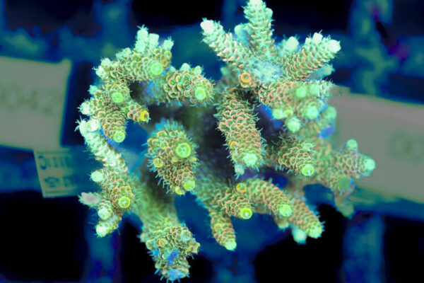 import placeholder for 3056329