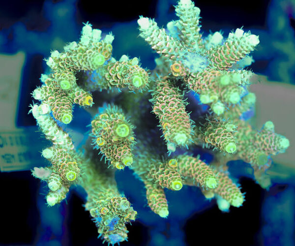 import placeholder for 3056329