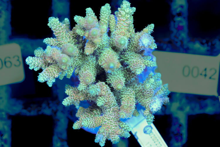 import placeholder for 3056327