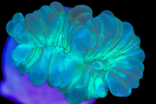 import placeholder for 3055446