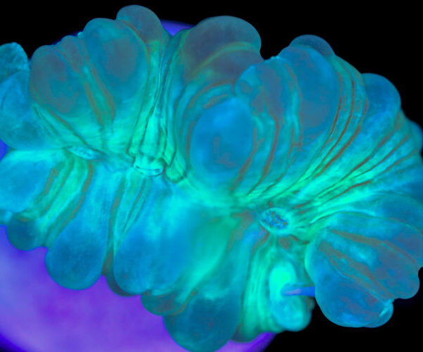 import placeholder for 3055446