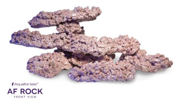 import placeholder for 2409453