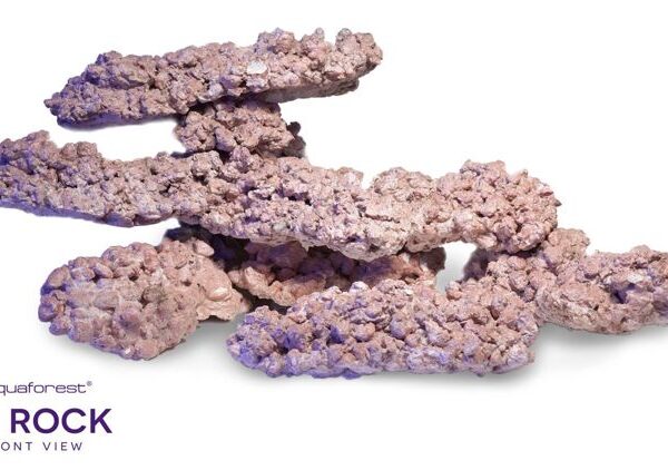 import placeholder for 2409453