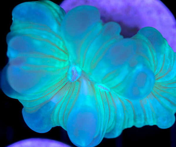 import placeholder for 3055445