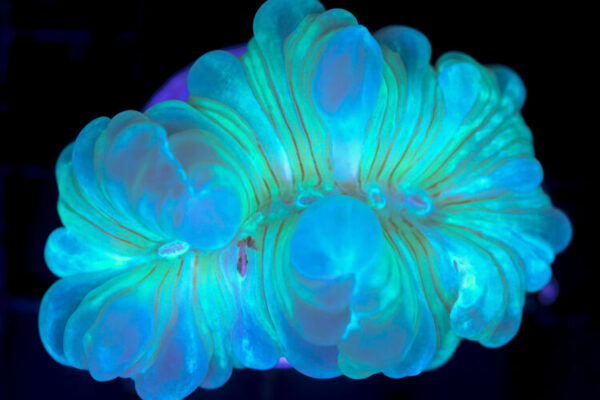 import placeholder for 3055443