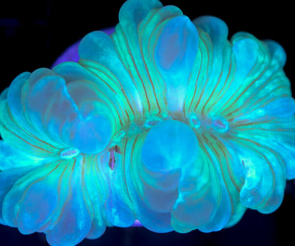 import placeholder for 3055443