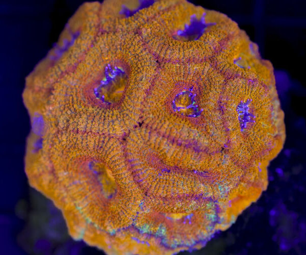 import placeholder for 3055433