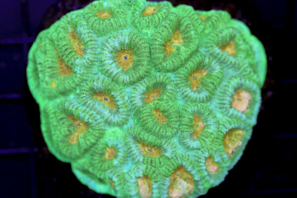 import placeholder for 3055413