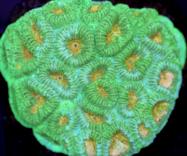 import placeholder for 3055413