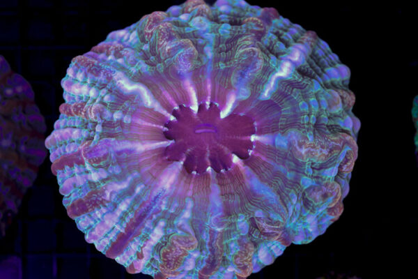 import placeholder for 3055407