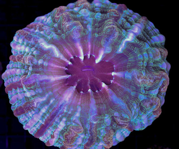 import placeholder for 3055407