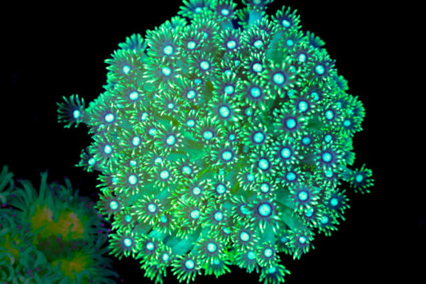 import placeholder for 3051319