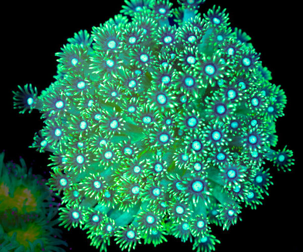 import placeholder for 3051319