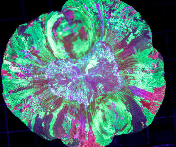 import placeholder for 3051298