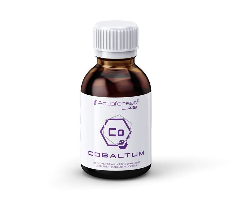 import placeholder for 2409451